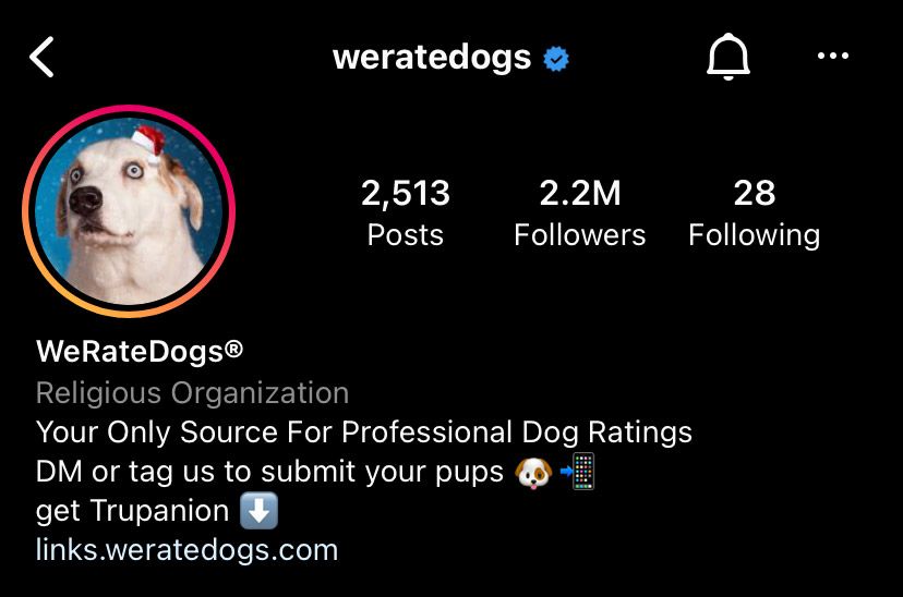 We rate dogs profile with link in bio